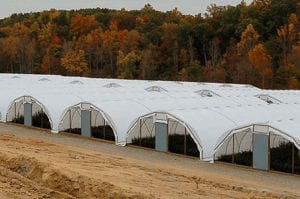 coldframe-page