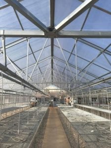 Interior Appalachian Greenhouse by Jaderloon
